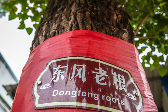 CHOICE旗舰厅老根